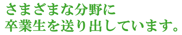 さまざまな分野に
卒業生を送り出しています。